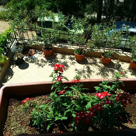 Bejbunar Apartment Ohrid
